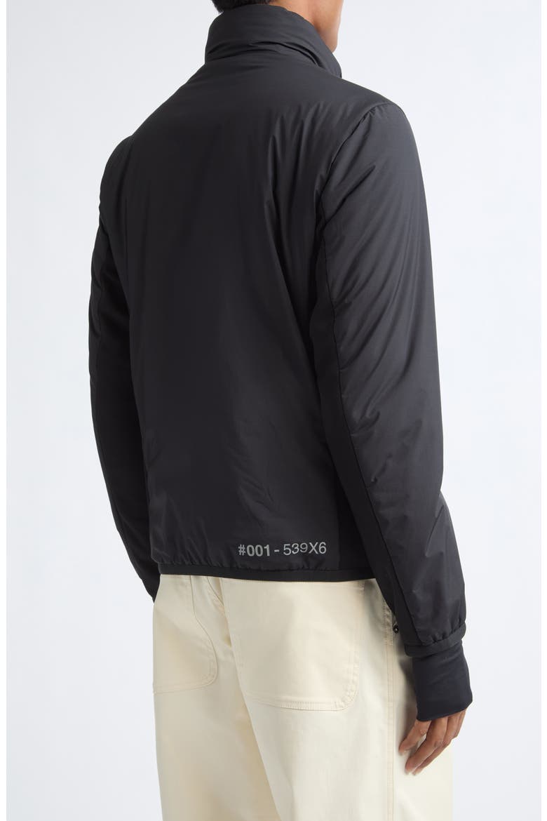 Araripe Quilted Down Jacket, Alternate, color, BLACK