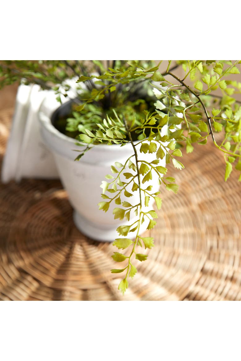 Maidenhair Drop-In 30", Alternate, color, Green