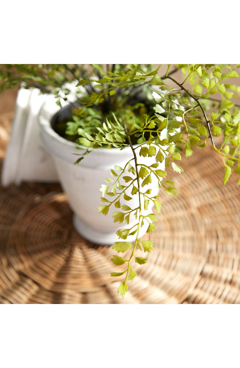 Napa Home & Garden Maidenhair Drop-In 30", Alternate, color, Green