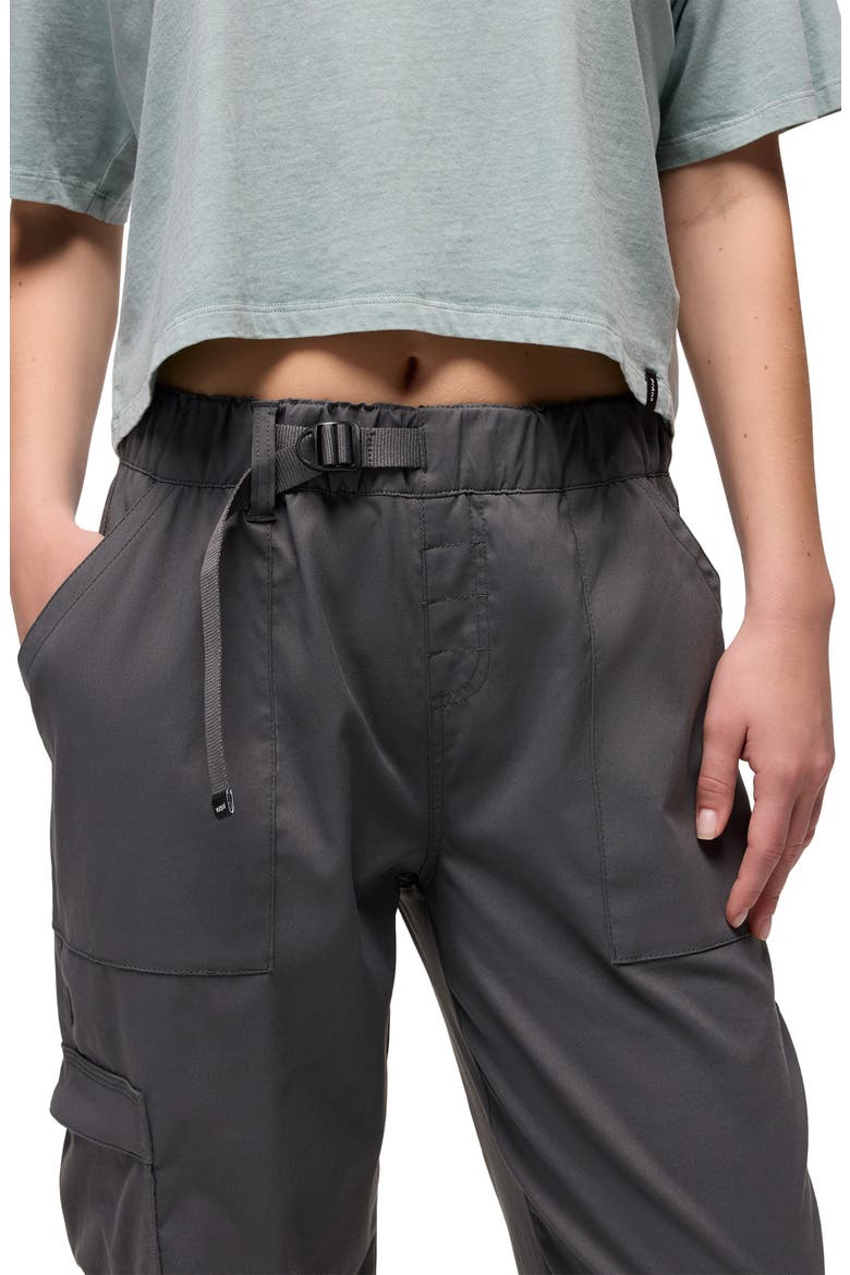 Stretch Zion™ Elastic Waist Joggers, Alternate, color, SHADOW