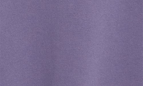 Free People Final Call Graphic Hoodie In Purple