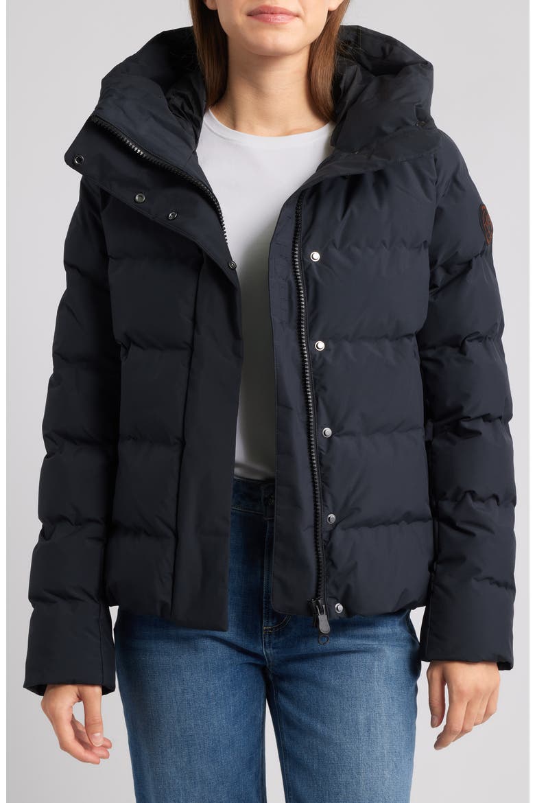 Arena Waterproof Hooded Puffer Jacket, Alternate, color, BLACK