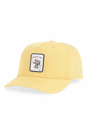 Swannies Fade Snapback Cap