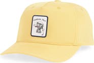 Swannies Fade Snapback Cap