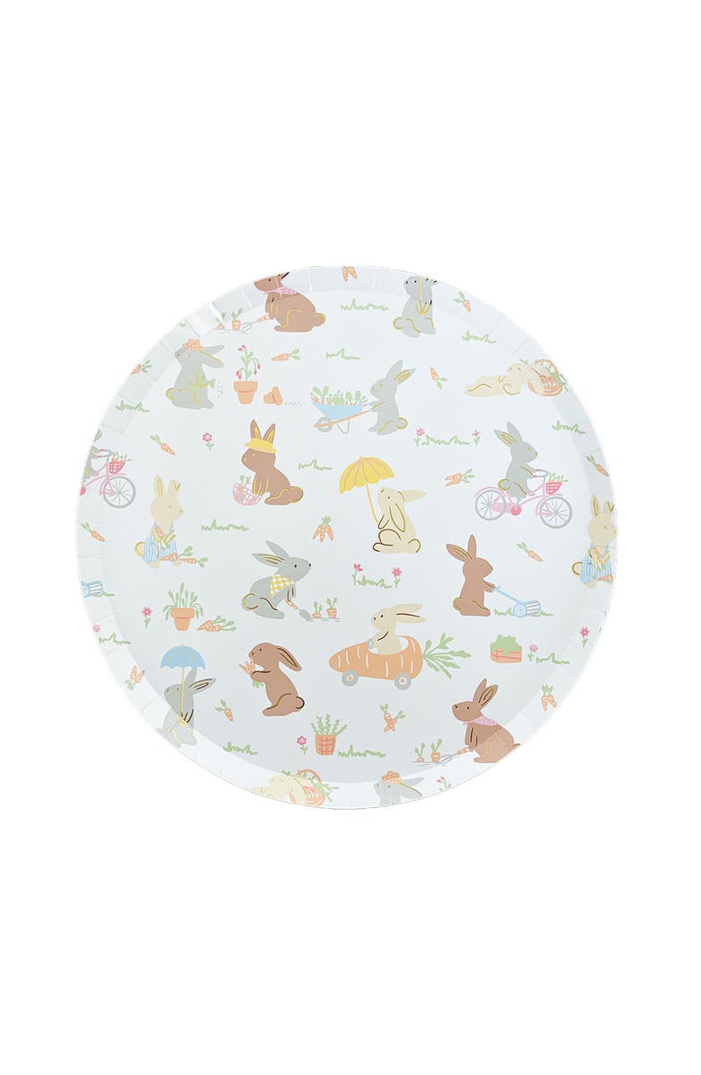 Daydream Society Bunnies In The Garden Round Large Plates, Main, color, Asssorted Pre-Pack