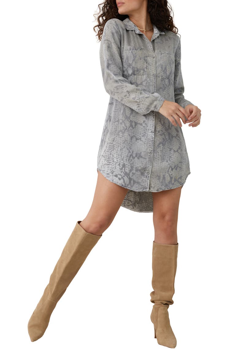 Hipster Shirtdress, Main, color, HAND PAINTED SNAKE PRINT