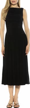 Alexia Admor Lumi Portrait Midi Dress
