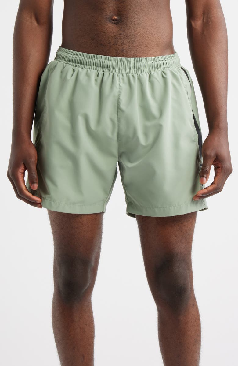 BOSS Dolphin Swim Trunks, Main, color, Light/ Pastel Green