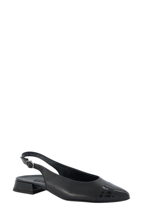 Paul Green Ynez Pointed Toe Slingback Flat in Black Combo 