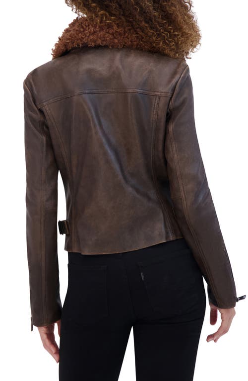 Andrew Marc Paley Leather Jacket With Faux Shearling Collar In Brown