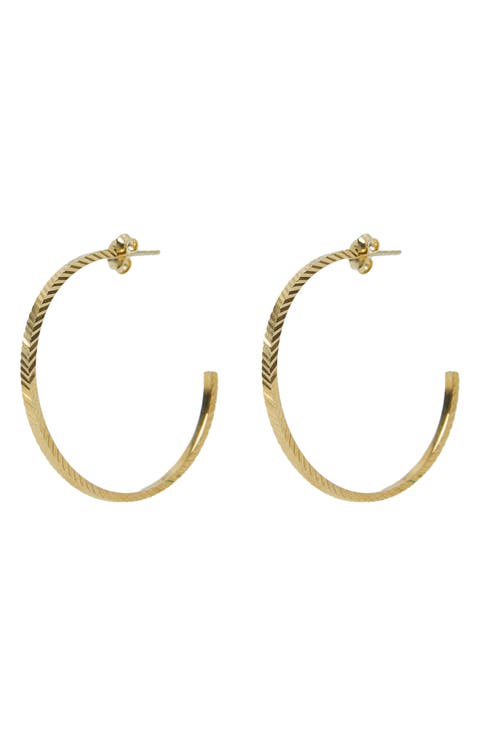 Large Hoop Earrings