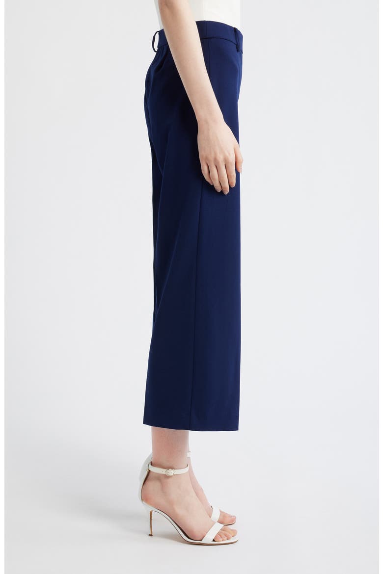Wide Leg Crop Pants, Alternate, color, DISTANT MOUNTAIN