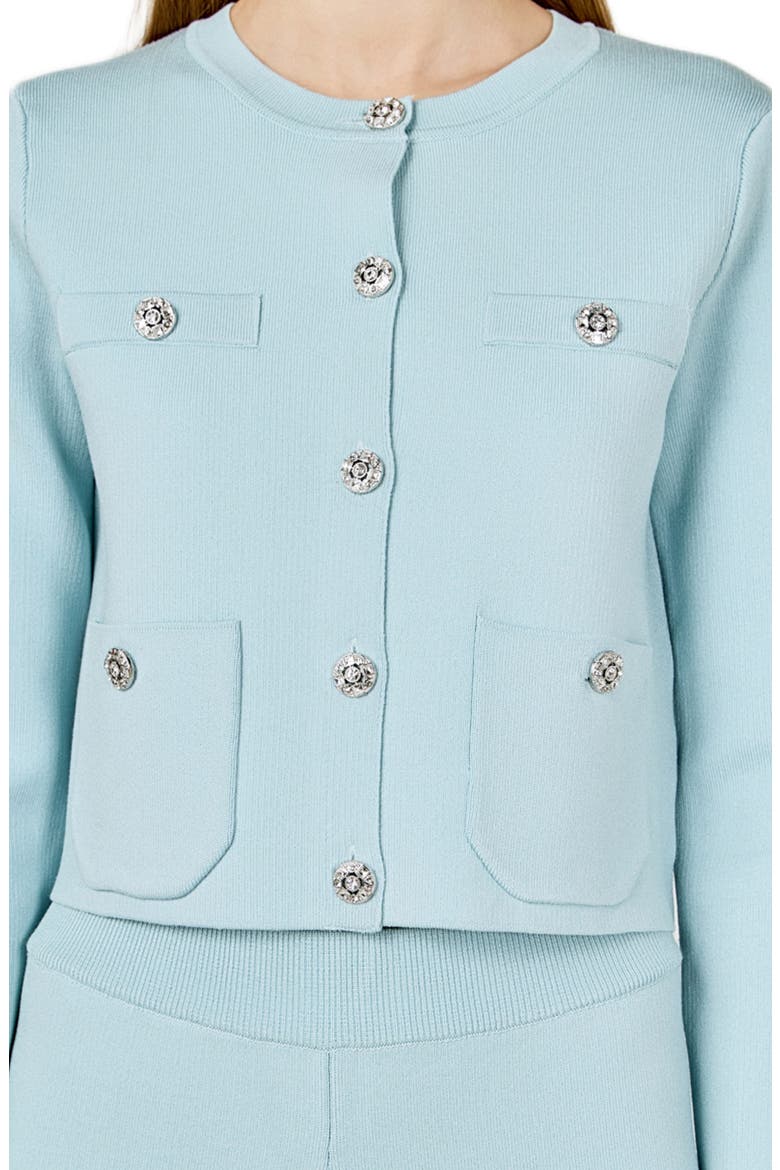 Rhinestone Cardigan, Alternate, color, POWDER BLUE
