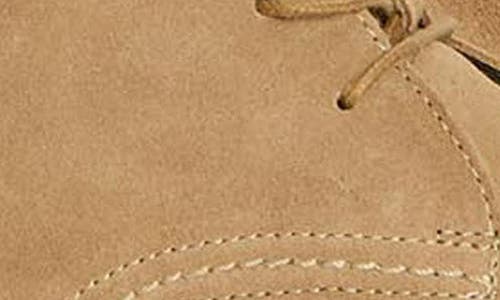 Barbour Sonoran Chukka Boot In Taupe
