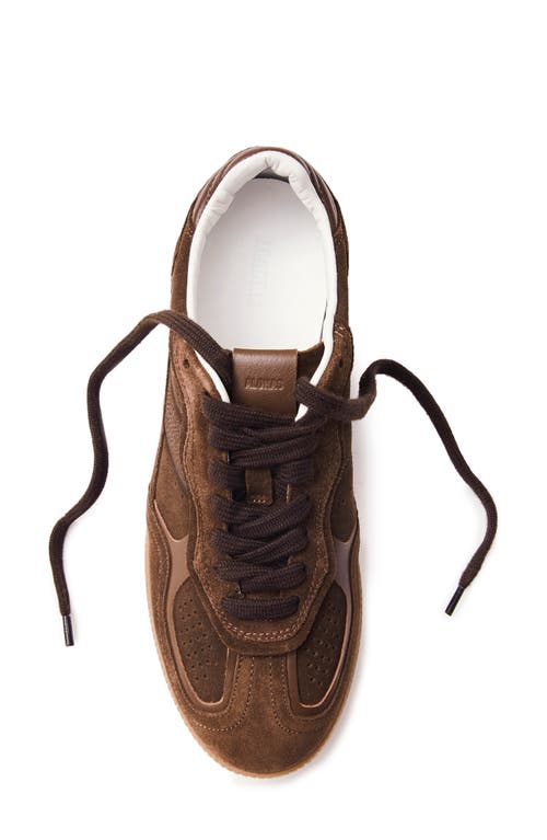 Shop Alohas Tb.490 Rife Sneaker In Brown