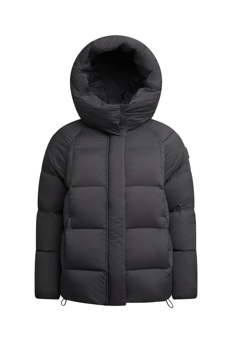 Cloud Prime Hooded Down Jacket, Alternate, color, BLACK/STONE