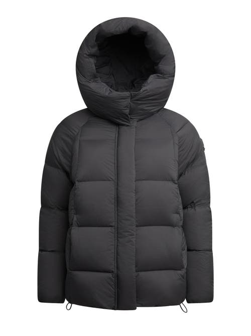 Jack1t Cloud Prime Hooded Down Jacket In Black