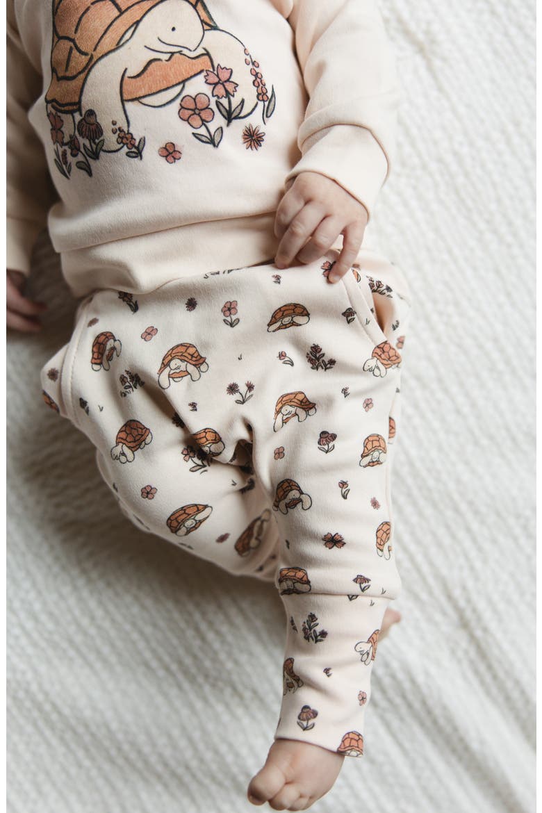 Organic Cotton Fleece Graphic Sweatshirt & Joggers Set, Alternate, color, TINY TORTOISE