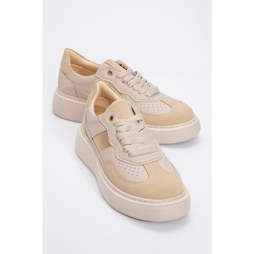 Prologue Shoes Venetia Sport Sneakers In Multi