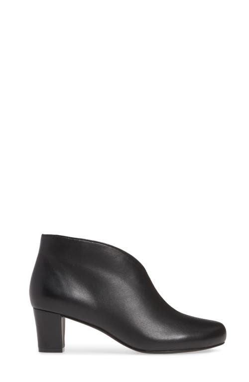David Tate Fame Boot In Black