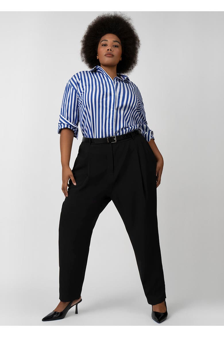 Poplin Tunic Shirt Dress Plus Size, Alternate, color, Cobalt Stripe