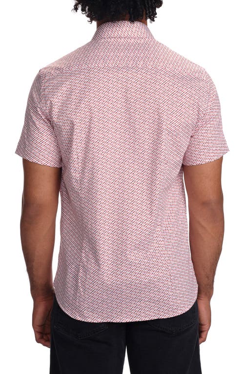Studio Garnet Los Angeles Micro Print Short Sleeve Stretch Cotton Button-up Shirt In Red