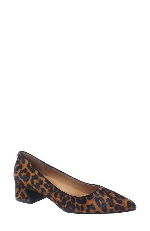 Gentle Souls Gardena Pointed Toe Pump In Animal Print