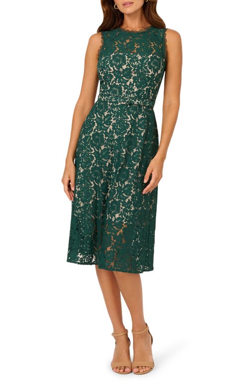 Adrianna Papell Belted Sleeveless Lace Midi Dress in Hunter 