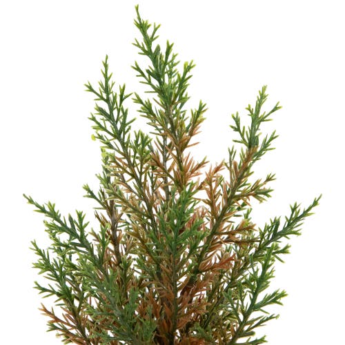 Northlight Mini Cedar Artificial Christmas Trees In Red