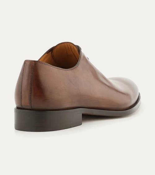 Ace Marks Carlo Wholecut Oxford In Brown
