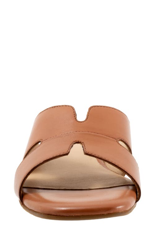 Trotters Nell Slide Sandal In Brown