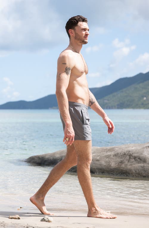 Auto-reply™ Sebastian Solid 4-inch Nylon Swim Trunks In Gray