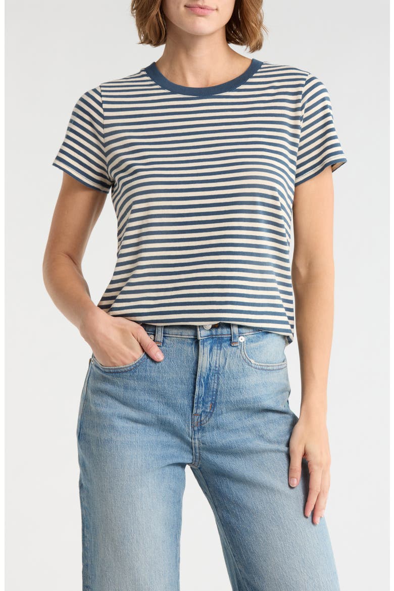 Softfade Stripe Cotton T-Shirt, Main, color, DEEP SHADOW