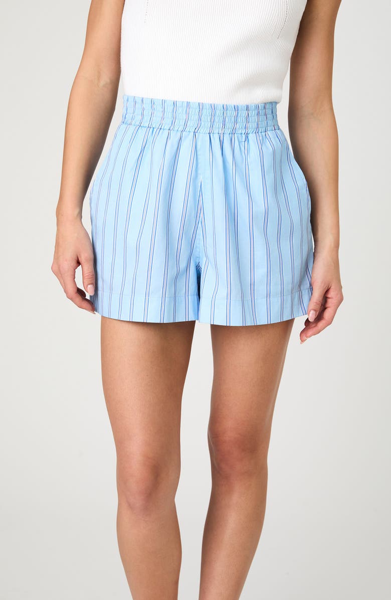 French Connection Lorenzo Stripe Cotton Shorts, Alternate, color, Blue Stripe Multi