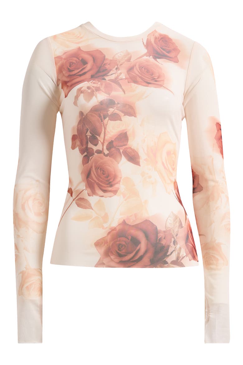 Kaylee Print Long Sleeve Mesh Top, Alternate, color, SEPIA ROSES