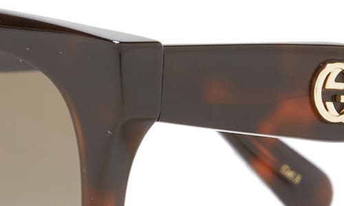 Gucci 56mm Square Sunglasses In Havana Havana Brown