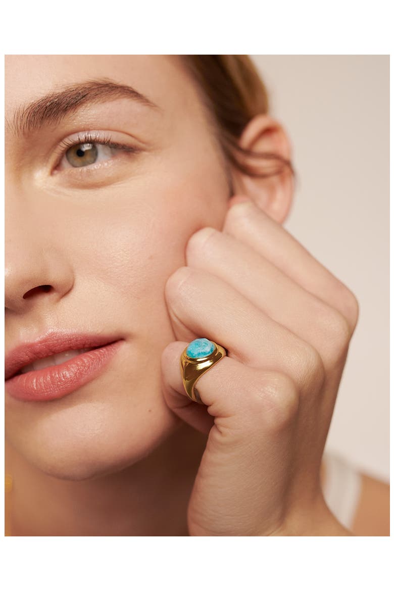 Eclipse Amazonite Signet Ring, Alternate, color, 18CT GOLD VERMEIL / AMAZONITE