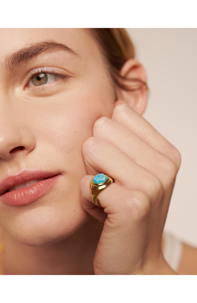 Monica Vinader Eclipse Amazonite Signet Ring, Alternate, color, 18Ct Gold Vermeil / Amazonite
