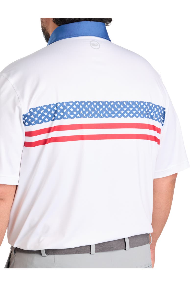 Big & Tall Americana Stripe Sankaty Performance Polo Shirt, Alternate, color, AMERICAN FLAG STRIPE