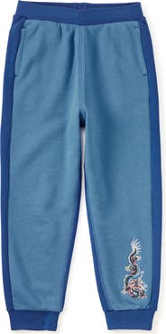 Tea Collection Colorblock Dragon Joggers