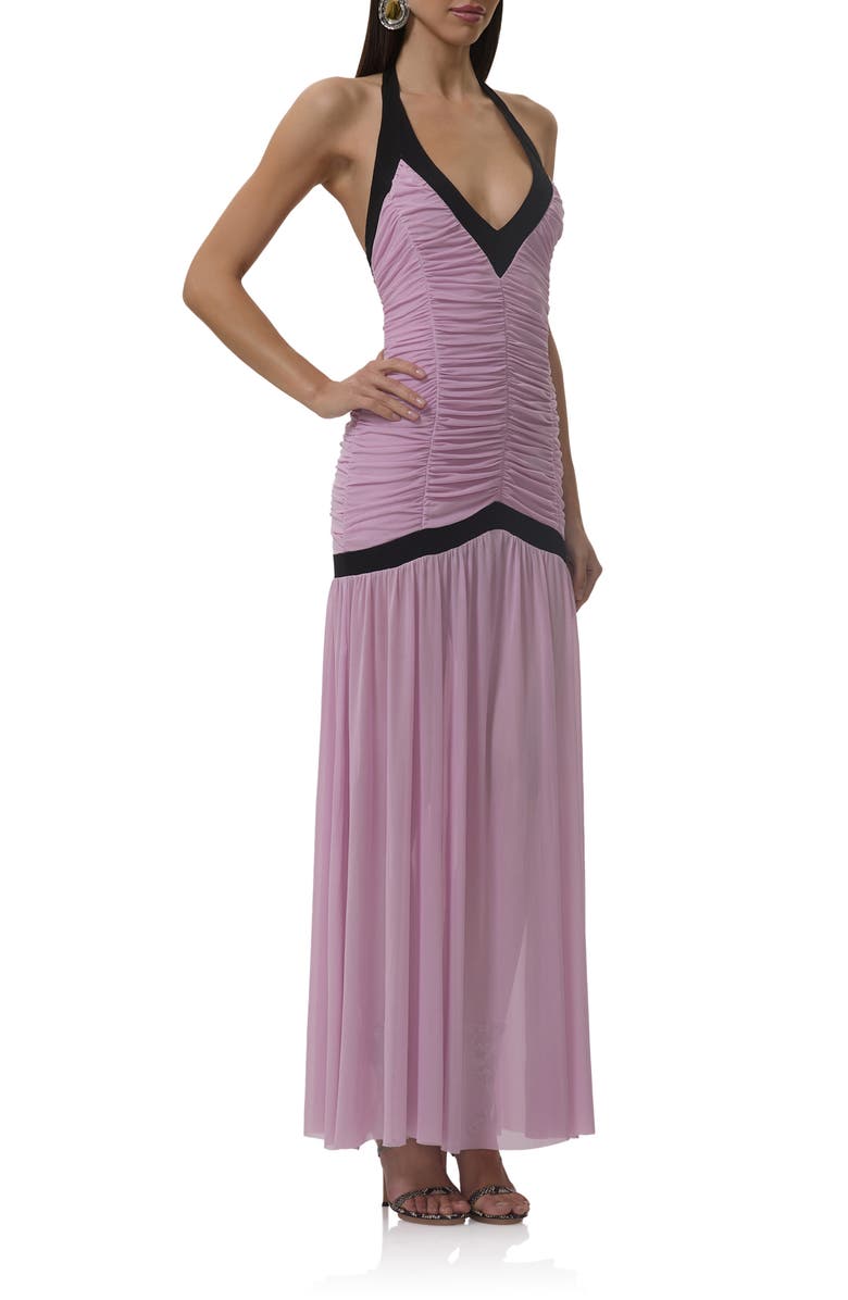 AFRM Melissa Shirred Drop Waist Dress, Alternate, color, Orchid Bouquet