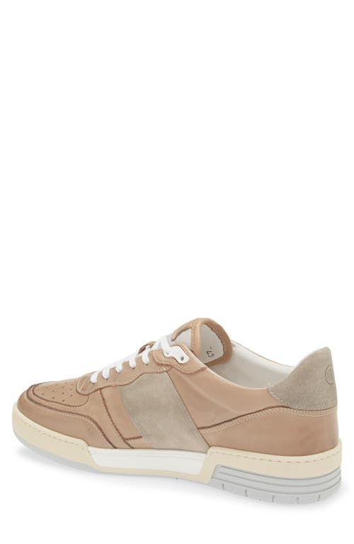 Collegium Pillar Destroyer Ii Sneaker In Brown