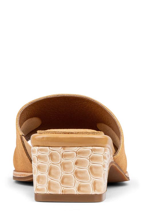 DONALD PLINER DONALD PLINER CASCADE MULE SANDAL 