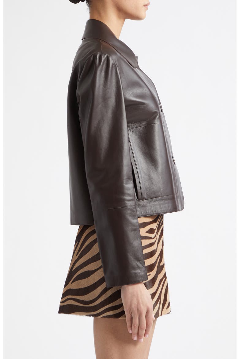 Emy Leather Jacket, Alternate, color, COFFEE BEAN