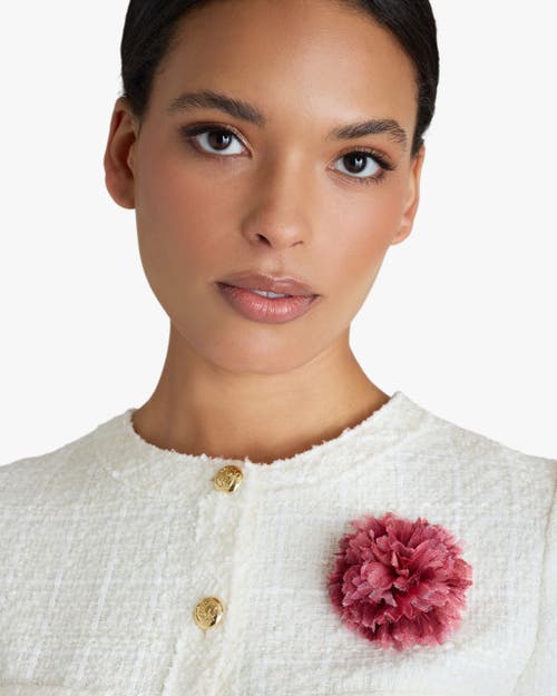 Helena Simon The Dark Pink Carnation In Pink