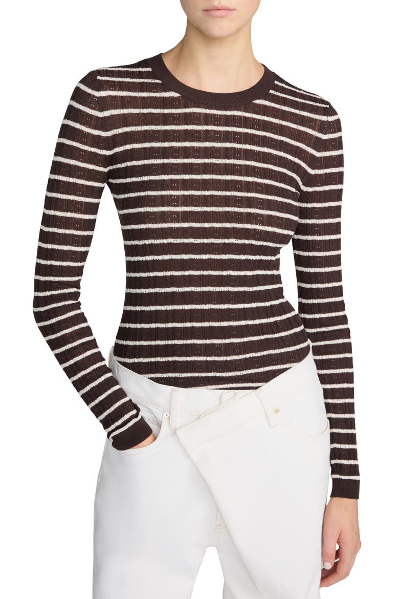 Striped Pointelle Crewneck Sweater, Main, color, CHESTNUT MULTI STRIPE
