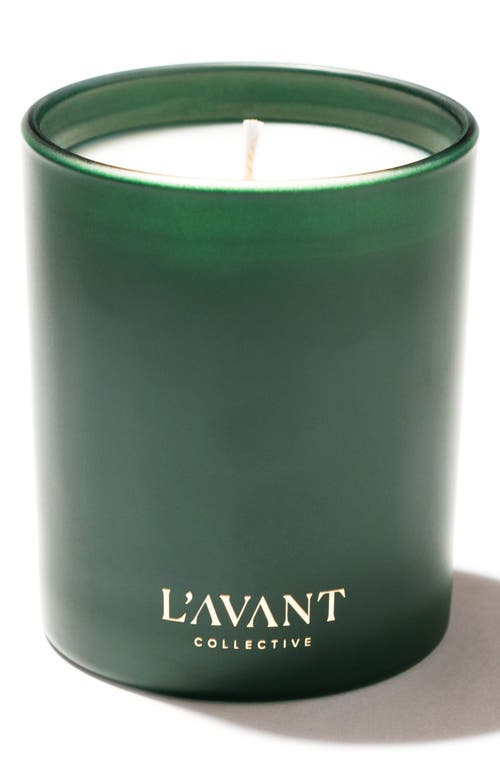 L'avant Collective Winter Fir Candle In Green