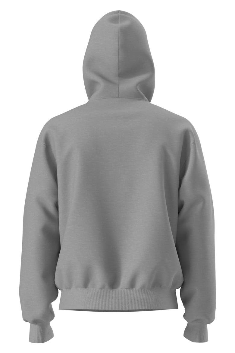 Essential Pullover Hoodie, Alternate, color, TNF PALE GREY HEATHER