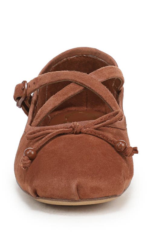 Circus Ny By Sam Edelman Zuri Strappy Ballet Flat In Brown