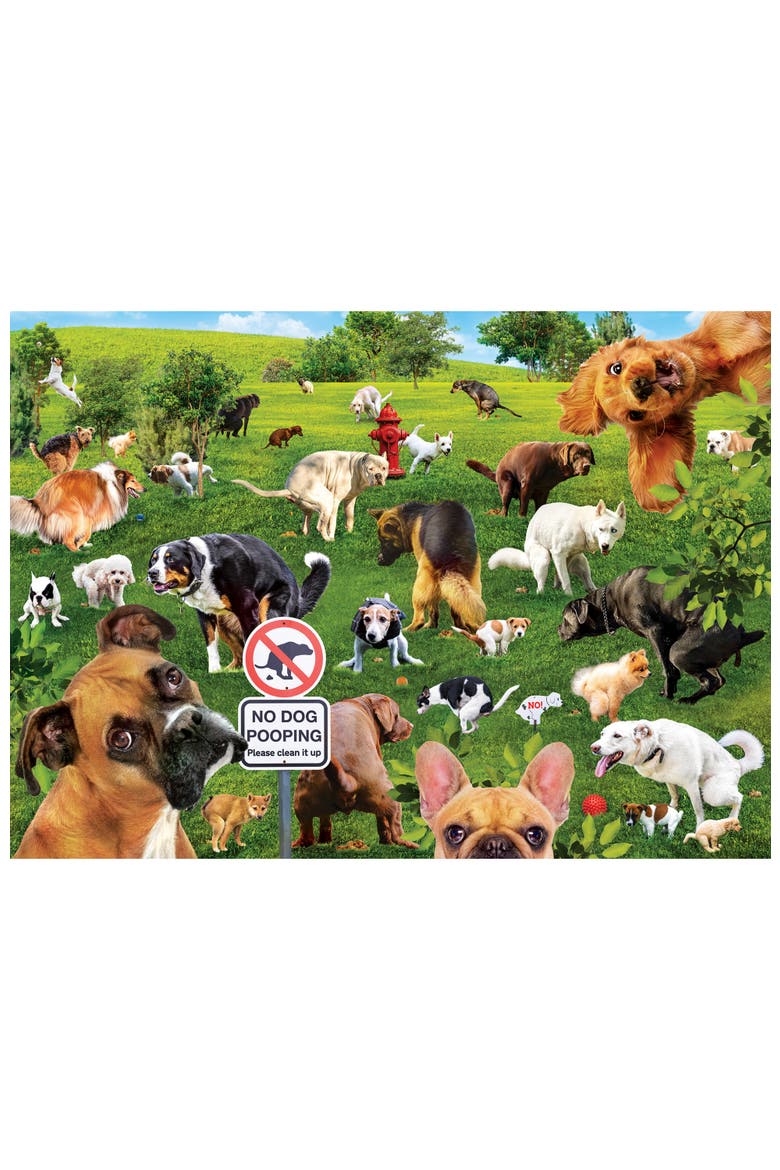 Super Dooper Poopers 1000 Piece Puzzle, Alternate, color, Multicolor